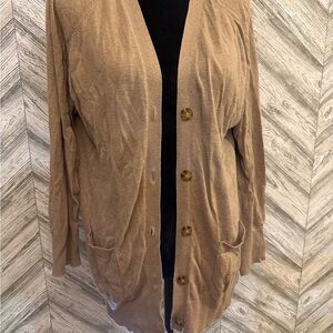 LOFT Oatmeal V-Neck Knit Sweater, size Large